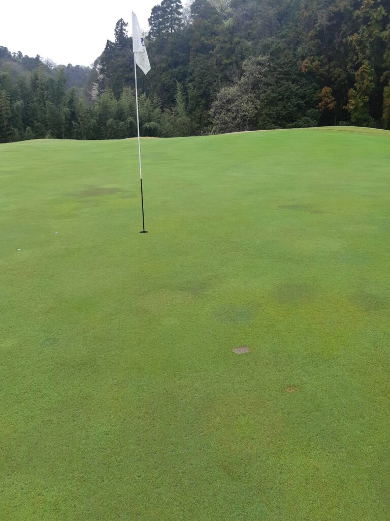 グリーン上のディボットについて – 【公式】南総カントリークラブ