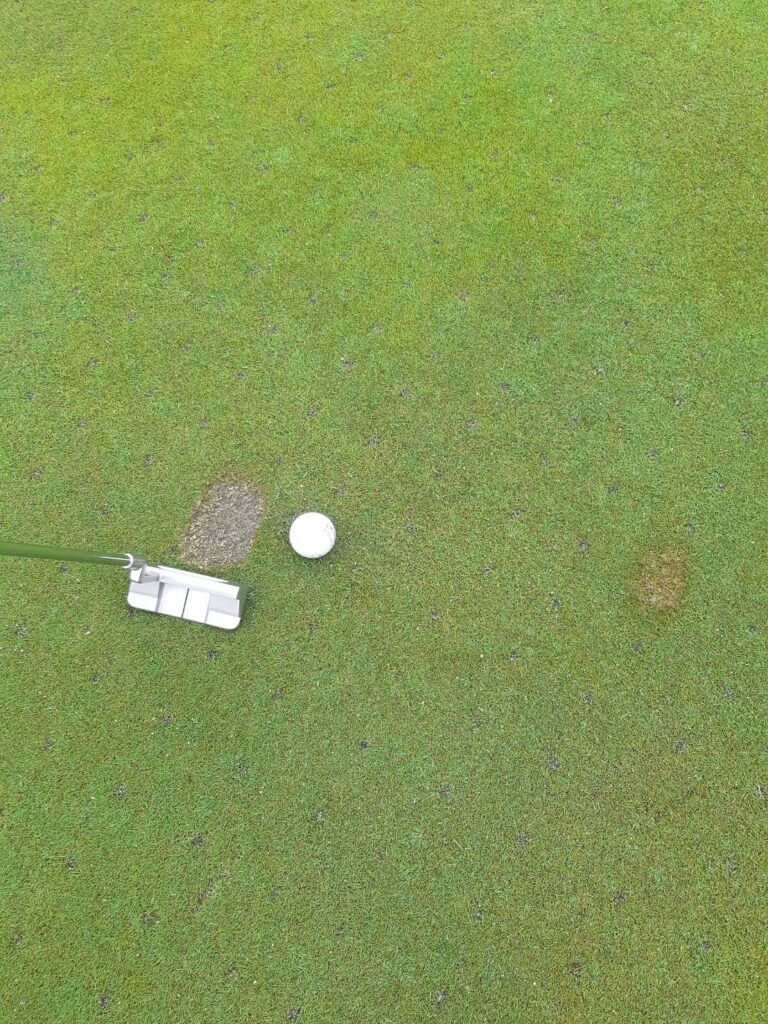 グリーン上のディボットについて – 【公式】南総カントリークラブ